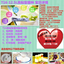 Commercial T16 high viscosity super viscosity brushed yogurt cultures Imported from Italy leavening agent Solid liquid fruit fishing etc