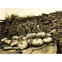 Shen Bo Feng Nan paper new pen drawing Hunan Provincial Association members