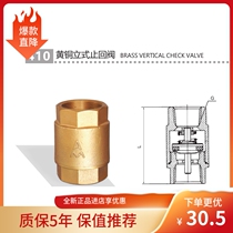 Emco check valve 410 brass thickened thread buckle pipe one-way valve vertical tap water check valve