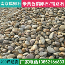 Nanjing beige transformer pebbles rain stone River beach stone washing stone Garden courtyard paving stone landscaping stone