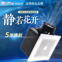 Green Island wind exhaust fan Kitchen bathroom 8 inch to 10 inch silent powerful fume ceiling ventilation fan exhaust fan