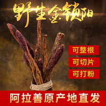 Gansu Golden Lock Yang 500g Golden Lock Yang Ara Hospice Lock Yang Whole Root Lock Yang Selection 30-40CM