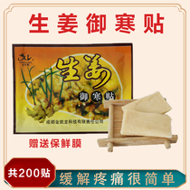 Jin Kailong ginger paste Knee joint paste Shoulder and neck care ginger paste Meridian ginger paste Fever post cold