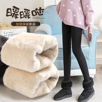 Autumn and winter large size maternity pants pregnant women leggings plus velvet padded belly to wear lamb velvet warm cotton pants winter wear