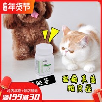Aina Beifen cat ringworm golden dog dog cat antipruritic pet fungus skin disease oral health products