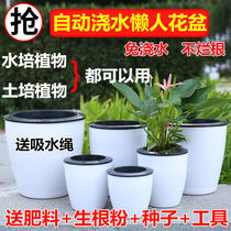 Thick automatic absorbent lazy flower pot green flower tree succulent plant flower pot imitation ceramic plastic flower pot