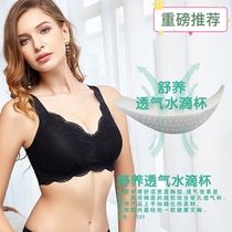 Han Zhenna Shu Cultivation Bra No Steel Rim Adjustment Shaping Underwear