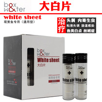 Bott big white fish ornamental fish medicine treatment of head hole white spot lying in the tank with enteritis ascites Arowana arhat disease