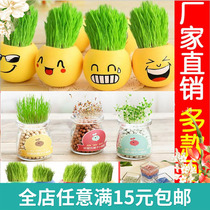 Desktop Creativity Small Potted Indoor Office Plant Potted Radiation Water Petted Plants Cute Grass Micro Landscape