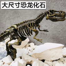 Dinosaur fossil archaeological excavation simulation Tyrannosaurus Rex bone skeleton handmade model childrens boy toy