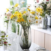 Nordic transparent color home decoration Dining table personality creative glass modern water raising living room flower vase ornaments