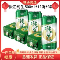 (36 cans) Pearl River beer pure raw 500ml * 12 tank * 3 boxes whole box 9 degrees of domestic fresh and pure yellow beer 