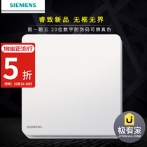 Siemens switch socket panel Ruizhi titanium silver frameless household power supply wise 16A one open dual control switch