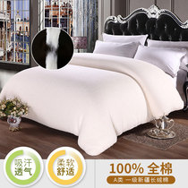 Xinjiang long-staple cotton quilt 2-5kg quilt spring and autumn quilt summer cool thin quilt core cotton double single cotton cotton wool