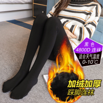 Pregnant women pants winter plus velvet padded belly leggings autumn and winter warm cotton pants one-piece pantyhose autumn pantyhose