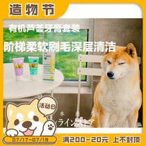 Lip black teeth white Japan APDC Organic Aloe Toothpaste Blueberry Mint Whitening Anti-stone Toothbrush