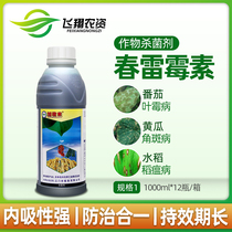 Add rice kasumycin cucumber tomato leaf mold leaf spot disease rice blast fungicide 1000ml