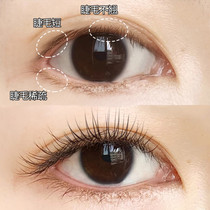 (Recommended by Via)Say goodbye to false eyelashes Eyelashes thick volume growth liquid Eyebrow growth liquid