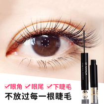 Mascara Waterproof Long curl non-smudging Extended encryption Long-lasting natural Extremely small brush head can brush lower eyelashes
