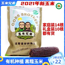Corn Brothers Black Glutinous Corn Organic Cultivation Fresh Bract Rice Non-GMO Vacuum Packed Home Dress Gift Box Clothing