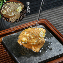 Creative discoloration tea darling with small golden toad with three feet toad money and gold pig ox tea table tea tray tea tray tea road accessories