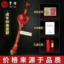 Jilin Deer Whip Dry Deer Whip Male Nourishing Bubble Wine Cooking Soup Material (Deer Whiter King Whip 200 gr or more)