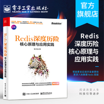 Official genuine Deep learning core principles and application practices Qian Wenpin Redis tutorial books In-depth understanding of Redis technical principles Advanced back-end development Redis