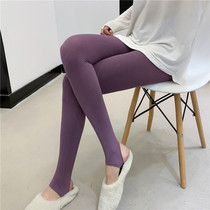 A-C410 thick terry pantyhose comfortable and thin light and soft womens foot socks