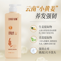 (Exclusive) Conquest of ginger Nourishing Hair antiquated Artemisia Mite Mite shampoo Official Brand 530ml
