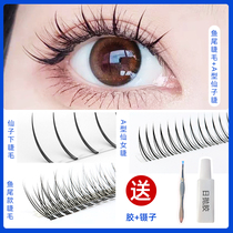 Little Red Book) false eyelashes female natural single cluster hair comics C warped natural grafting lower eyelashes single root fairy hair