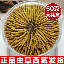 Cordyceps Flagship Store Cordyceps Dry Cordyceps Gift Gift 50g Gift Box