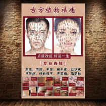 Men and womens face mole poster picture Open Transport point mole figure decorative painting custom beauty salon mole picture dispel face advertising picture hole bitmap wall hanging picture feng shui poster making ancient plant mole removal mole