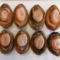 4 head abalone sugar heart abalone dry goods high-end exquisite gift box set with gift bag 500 grams