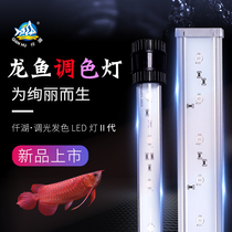 Qianhu of Imperial Dragon Hall fish tank lamp dragon fish diving light led hair color red White adjustable purple yellow parrot Arhan