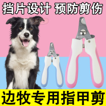 Border Shepherd Border Collie Special Nail Scissors Grinding Armor Anti-shear Manicure Pliers Anti-Bleeding