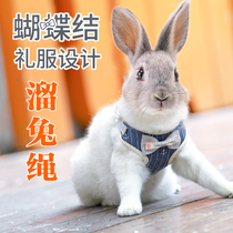 Rabbit Traction Rope Slip Rabbit Theorizer Mini-Vest Type Anti-Bite Adjustable Rope Anti-Escape Rabbit Supplies