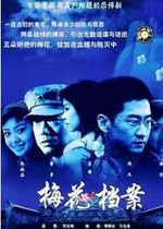 Disc player DVD (Plum Blossom Archives) Zhou Jie Dong Yong Su Jin 22 episodes 2 discs