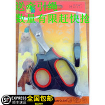 Mini live pet nail clippers dog nail clippers nail clippers rabbit cat nail scissors