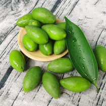 Special Grades Green Fruits Raw Eating Fruits Fresh Sweet Seed Green Olive Gold Foci Chaoshan Sandalwood 2 Fujian Fuzhou Teach