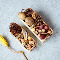 Large medium and small pine cones Christmas decoration Nordic ornaments pendant fruit DIY pine branches dried fruit photo props