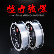 Jundong fishing line Main Line sub line Japanese original fishing line Super wear-resistant fishing professional fishing line fishing gear accessories