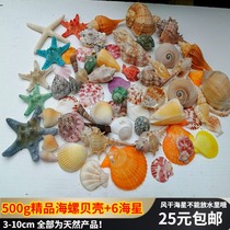 500g 6 starfish conch shell decoration package Floor window props Childrens toys creative gifts