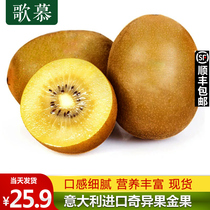 Italy imported golden fruit kiwi fruit sunshine golden fruit big fruit fresh yellow heart kiwi fruit pregnant women fruit