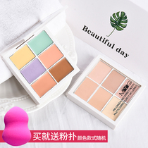 Six-color concealer plate pen Waterproof moisturizing Cover dark circles freckles Face spots brighten skin tone Repair plate stick