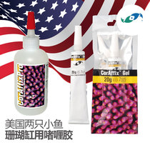Two small fish in the United States coral cylinder with a slim gel adhesive button live stone amputation of water 20g 295ml