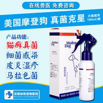 Modern Dog Fungus Buster Spray Modern Dog dog skin disease fungus pet cat mites cat ringworm dermatitis