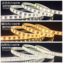LED light with 5730 tricolour dimming 16 color RGB remote control 5050 Seven colorful outdoor soft light strip Waterproof ceiling Living room