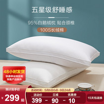 Boyo Family Spinning Down Pillow 100S Long Suede Cotton Pillow Core 95 White Goose Down 5 Star Hotel Assisted Sleep neck pillow