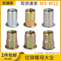 Pull rivet nut flat head pull screw nut rivet nut hexagon pull female riveting aluminum 304 stainless steel L