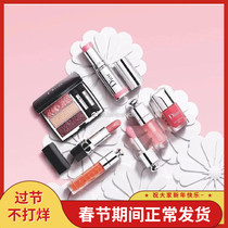 DIOR Dior 2021 spring limited lipstick 241 348 lip gloss 022 high gloss blush bar 865 715